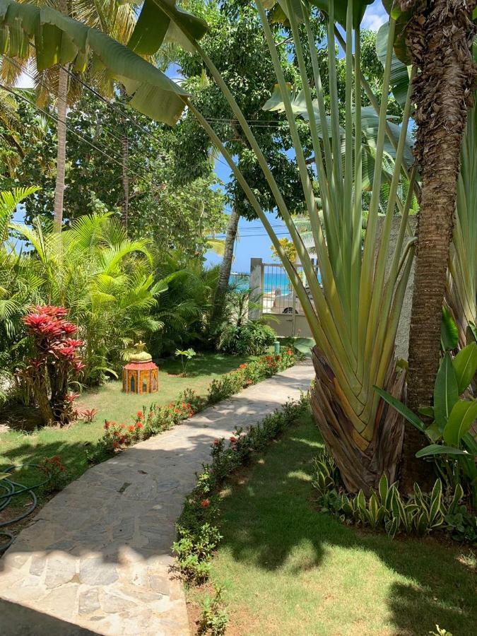 Beach Hotel Casa Nina Las Terrenas Luaran gambar