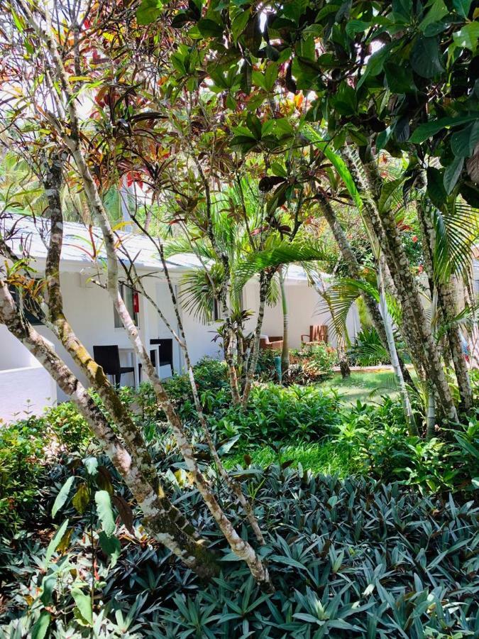 Beach Hotel Casa Nina Las Terrenas Luaran gambar