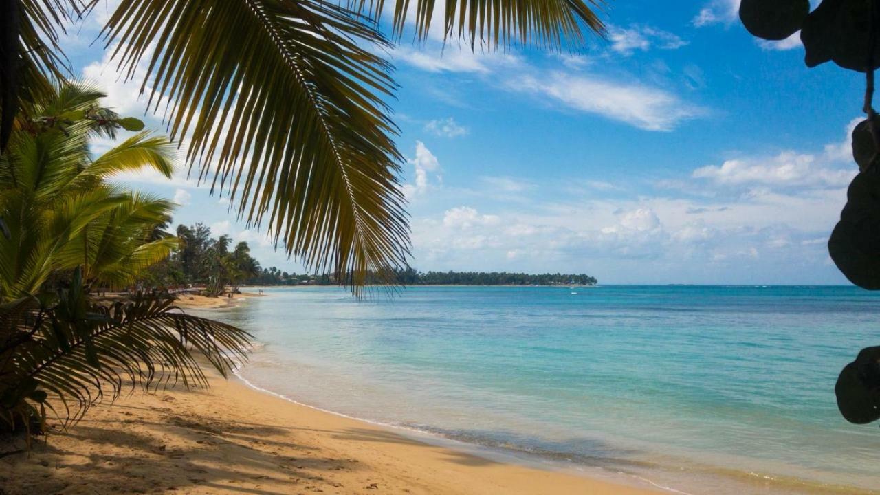 Beach Hotel Casa Nina Las Terrenas Luaran gambar