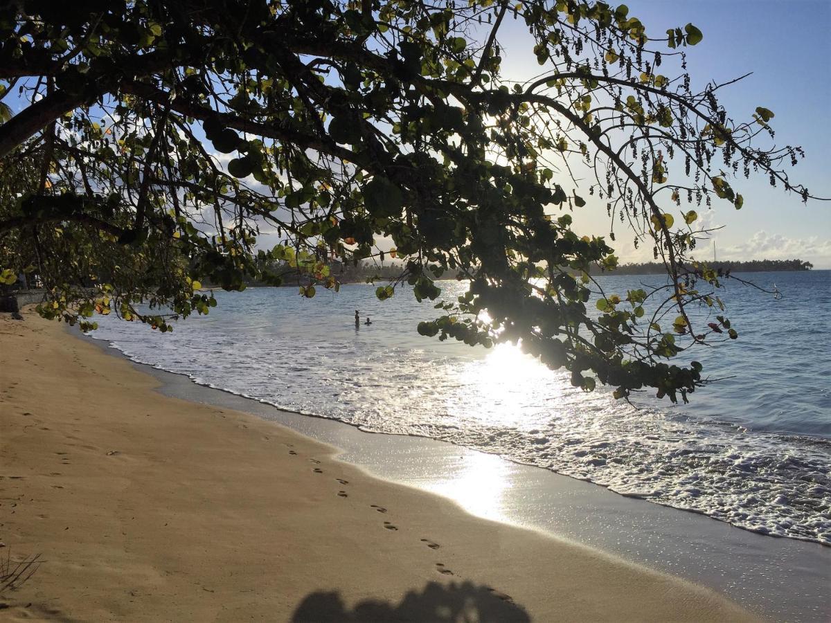 Beach Hotel Casa Nina Las Terrenas Luaran gambar